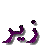 zir